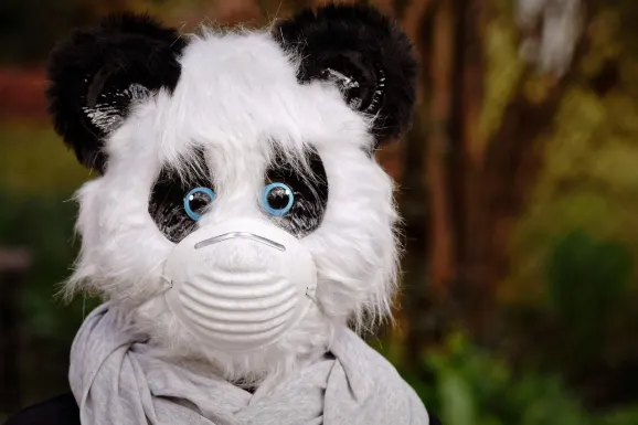 Тъндърболт Казино Поддръжка